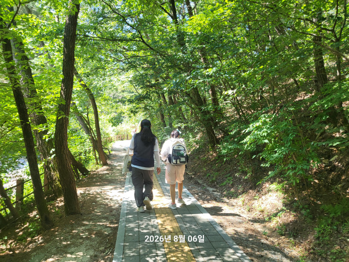 더운 여름에도 숲체험과 함께 고고~~~…