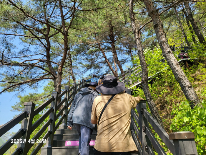 숲체험 _교육 숲으로 가족여행